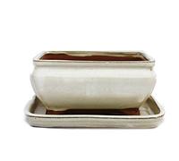 Exotenherz Bol à bonsaï avec soucoupe taille 2 - beige clair - carré - modèle G81 - L 14,5 cm - l 11,5 cm - H 6,5 cm