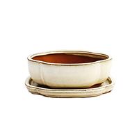 exotenherz Bol à bonsaï avec soucoupe taille 2 - beige clair - haitang/ovale - modèle I5 - L 14,5 cm - l 12,5 cm - H 5 cm