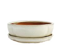 Exotenherz - Bol à bonsaï avec soucoupe taille 3 - Beige clair - Haitang/ovale - Modèle I5 - L 17 cm - l 14 cm - H 5,5 cm