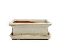Exotenherz - Bol à bonsaï avec soucoupe taille 3 - beige clair - rectangulaire - modèle G29 - L 18 cm - l 13 cm - h 6 cm