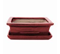 exotenherz Bol à bonsaï avec soucoupe taille 3 - rouge - carré - modèle G29 - L 18 cm - l 13 cm - H 6 cm