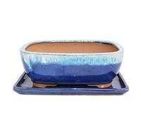 Exotenherz - Bol à bonsaï avec soucoupe taille 4 - bleu/beige - rectangulaire - modèle G5B - L 25,5 cm - l 19 cm - H 9 cm