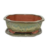 exotenherz Bol à bonsaï avec soucoupe taille 5 - I4 - marron olive - L 31,5 cm - l 26 cm - H 11 cm