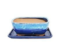 Exotenherz - Bol à bonsaï avec soucoupe taille 8" - bleu-beige - carré - modèle G5B - L 20,5 cm - l 16 cm - H 8 cm