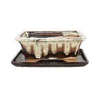 Exotenherz - Bol à bonsaï avec soucoupe taille 8" - marron-beige - carré - modèle G93 - L 21 cm - l 16 cm - H 8 cm