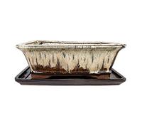 exotenherz Bonsai Cup and Saucer GR. 4 - Special Glaze with Fine Color-Effect - Angular - Cream/Brown - L 26cm - B 20cm - H 8cm