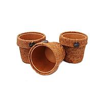 exotenherz - Kokodama Lot de 3 pots de fleurs vides 13 cm