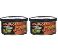 Exoterra Aliment vers de Farine pour Reptiles et Amphibiens 34 g (Lot de 2)