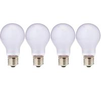 Soleil Glo Néodyme Lumière Du Jour Lampes 60 Watt Par Exo Terra