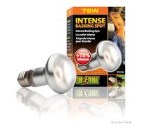 Exoterra Ampoule Intense Basking Spot pour Reptiles et Amphibiens 75 W