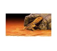 Exoterra - cachette pour reptile - grotte