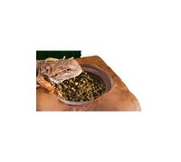 Exoterra Cachette pour Reptiles Support Cup Diet