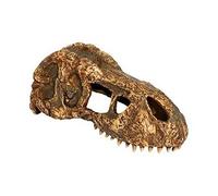 Exo Terra Décoration Crâne de T-Rex pour Reptiles et Amphibiens Taille S