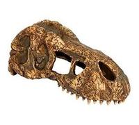 Exo Terra Décoration Crâne de T-Rex pour Reptiles et Amphibiens Taille S