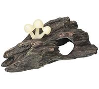 Exo Terra Grotte de Terrarium en Résine, Noix de Coco, pour Grenouille, Intérieur, Tropical, Rond, Brown