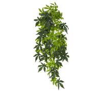 Plante En Soie Abutilon Exo Terra, Pour Terrariums L - Pt 3052 - 70 Cm