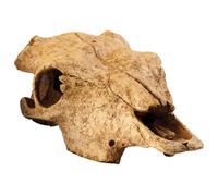 Décor Crane Bison - Exo Terra