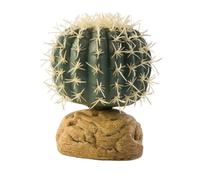 exo terra décoration cactus oursin - petit modele - pour les reptiles et les amphibiens