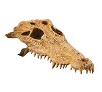 Exoterra Décoration Crocodile Skull pour Reptiles et Amphibiens 11x21x22 cm