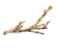 Exoterra Décoration Pied de Vigne Sablé Petit Modèle pour Reptiles et Amphibiens