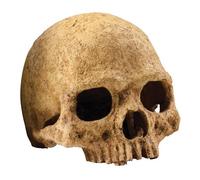 EXO-TERRA Waterfall Cascade - Small - Pour reptile