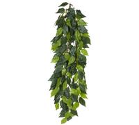 Exo Terra Décoration Plante Ficus Jungle Grand modèle pour terrarium