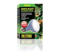 Exoterra Lampe Daylight Baskingspot 50w - Pour Terrarium