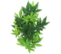 Exoterra Plante de Décoration pour Reptile Abutilon