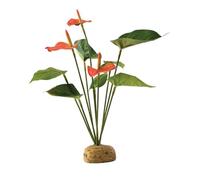 Exo Terra Exo Terre - Arbuste Anthurium 30X15 Cm