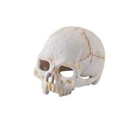 Exoterra Primate Skull Décoration pour Reptile/Amphibien Taille S