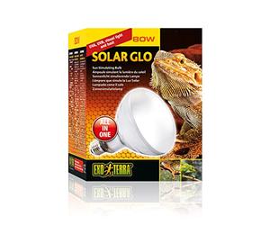 Exoterra Solar Glo Ampoule Simulant Lumière du Soleil pour Reptile 80 W