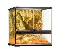 Exoterra Terrarium En Verre Pour Reptiles Et Amphibiens 20x20x30 Cm