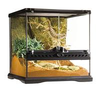 Terrarium en Verre - Petit - Petit/Très Haut