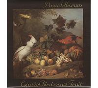 Exotic Birds And Fruit