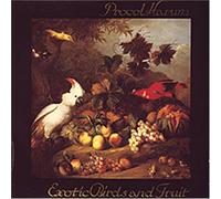 Exotic Birds and Fruit (Musea Digisleeve)