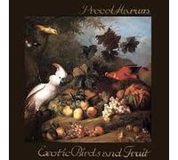 Exotic Birds & Fruit Procol Harum