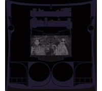 Exotic Birds of Prey