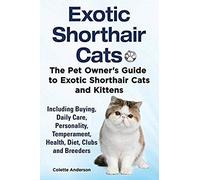 Exotic Shorthair Cats The Pet Owner's Guide To Exotic Shorthair Cats And Kittens Including Buying, Daily Care, Personality, Temperament, Health, Diet, Clubs And Breeders