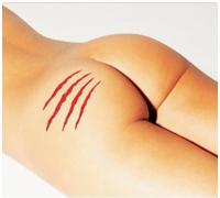 Exotica - La Vierge Et Le Lion