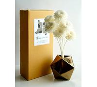 Exotique proudnature Lot de 10 Gerbera Conception 5,1 cm Sola en Bois avec fleur Reed Diffuseur de parfum d'intérieur Aroma Huile.