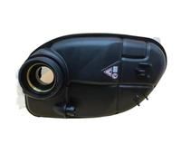 Expansion Tank Vase Réservoir D'eau D'expansion De Voiture Pour Benz A180 A200 A260 A45 B180 B200 B260 W246 W176 2465000049 A2465000049(Dark Grey)