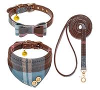 EXPAWLORER Ensemble Collier et Laisse pour Chien - Nœud Papillon Classique à Carreaux et Collier Bandana pour Chien avec Clochette, Laisse Anti-nœuds, Colliers réglables pour Chiens et Chats de