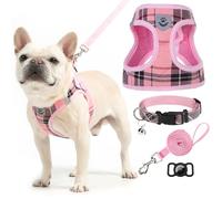EXPAWLORER Harnais et Laisse pour Chiot - Collier et Laisse pour Petit Chien - Harnais Classique réglable Anti-Traction - Anti-Fuite - pour Promenade en Plein air - Rose - Taille XS