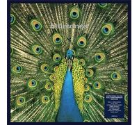 Expecting To Fly - 25th Anniversary - Vinyles