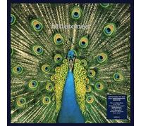 Expecting To Fly Vinyle
