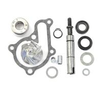 Expédition Gratuite Kit De Réparation Pompe À Eau K-XCT 300 V Pièces Pour Moto
