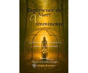 Expérience de vie imminente: Le chemin vers l’authenticité et l’amour inconditionnel - récit d’une transformation spirituelle après une expérience de mort imminente