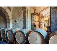 Expérience privée de dégustation de vin au Château Saint Julien d’Aille