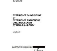 Expérience quotidienne et expérience esthétique chez heidegger et merleau-ponty - Marie David - L'harmattan - broché - Essai