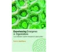 Experiencing Emergence in Organizations: Local Interaction and the Emergence of Global Patterns